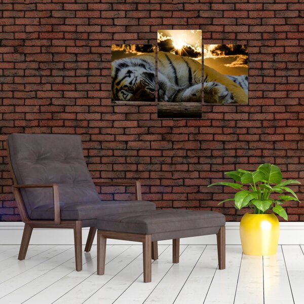 Tablou tigrul dormind (90x60 cm)