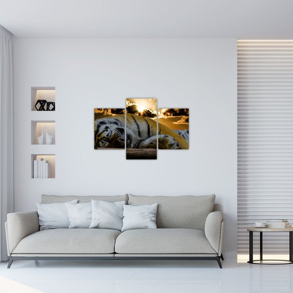 Tablou tigrul dormind (90x60 cm)