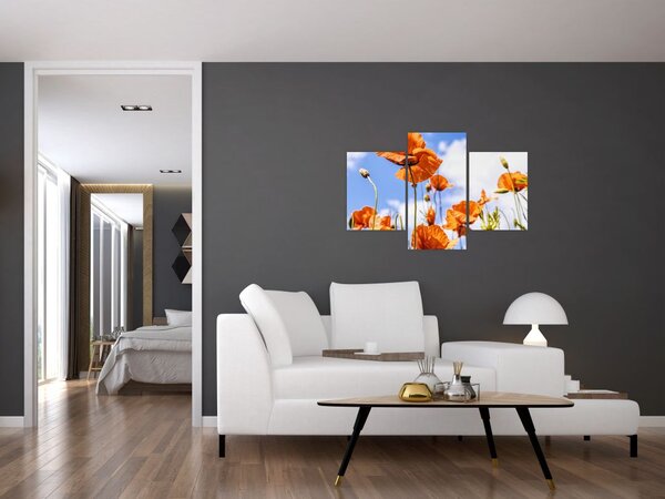 Tablou cu macii (90x60 cm)