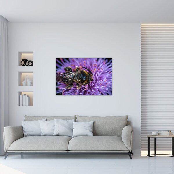 Tablou cu albina pe floare (90x60 cm)