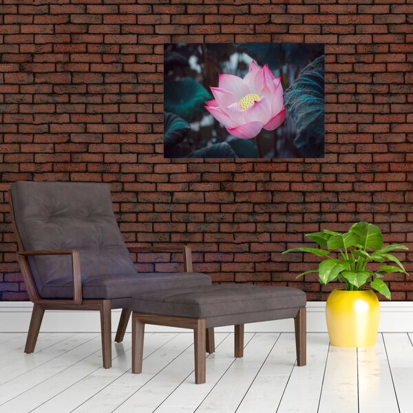 Tablou cu floare roz (70x50 cm)