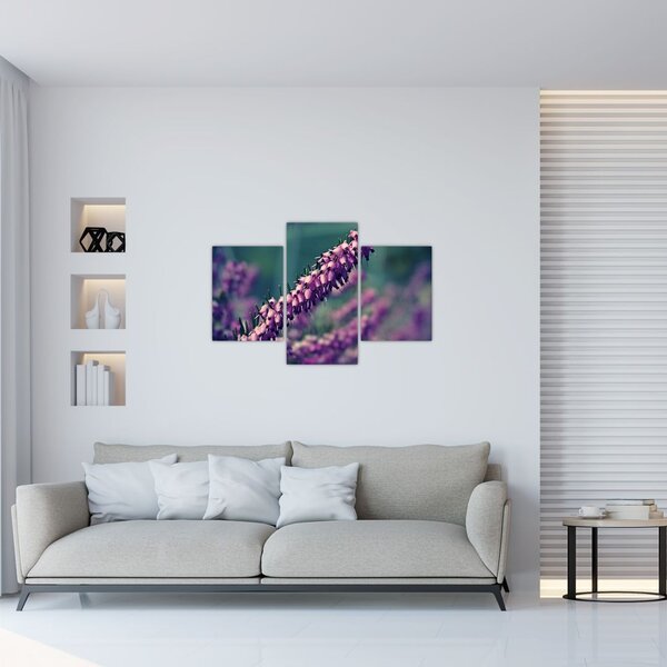 Tablou cu floare violetă (90x60 cm)