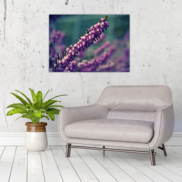 Tablou cu floare violetă (70x50 cm)