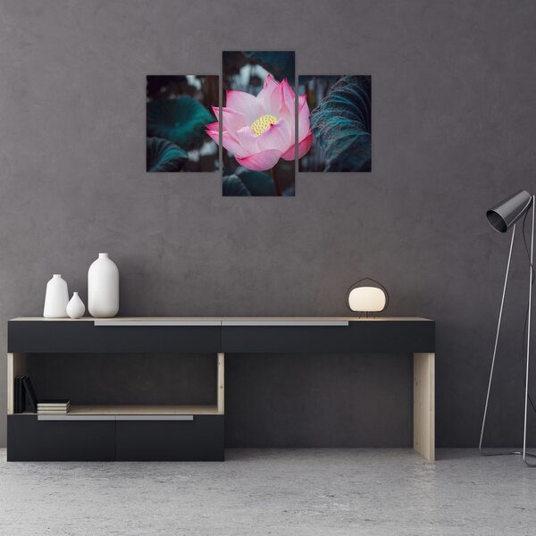Tablou cu floare roz (90x60 cm)