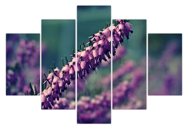 Tablou cu floare violetă (150x105 cm)