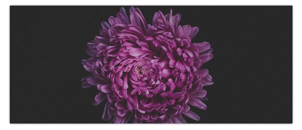 Tablou cu floare violetă (120x50 cm)
