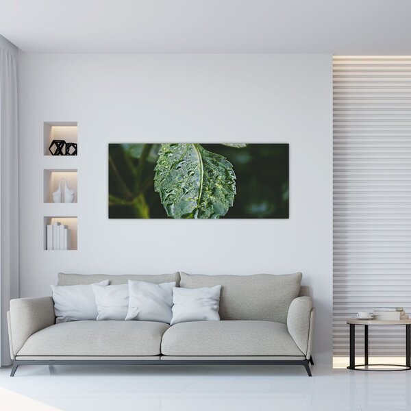 Tablou - picături pe frunză (120x50 cm)