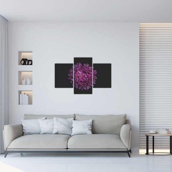 Tablou cu floare violetă (90x60 cm)