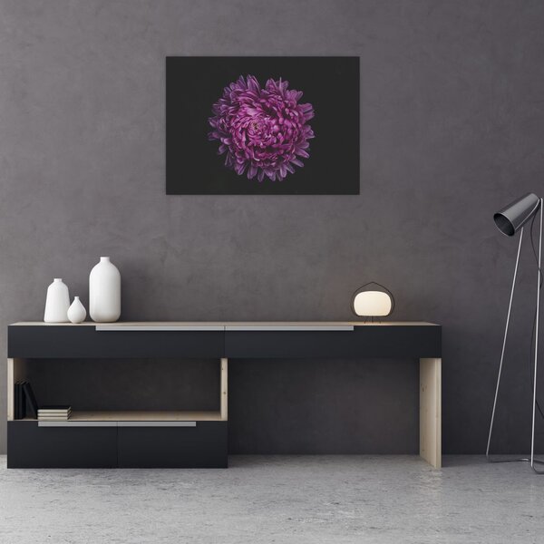 Tablou cu floare violetă (70x50 cm)