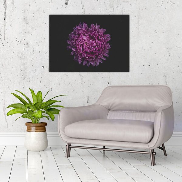 Tablou cu floare violetă (70x50 cm)