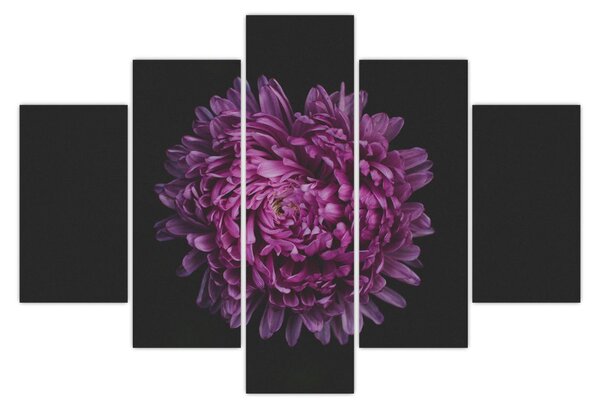 Tablou cu floare violetă (150x105 cm)