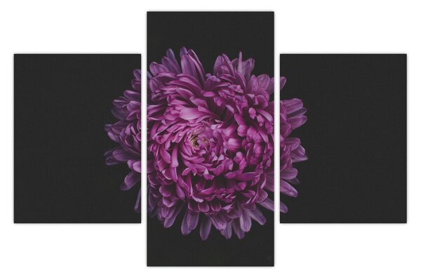 Tablou cu floare violetă (90x60 cm)