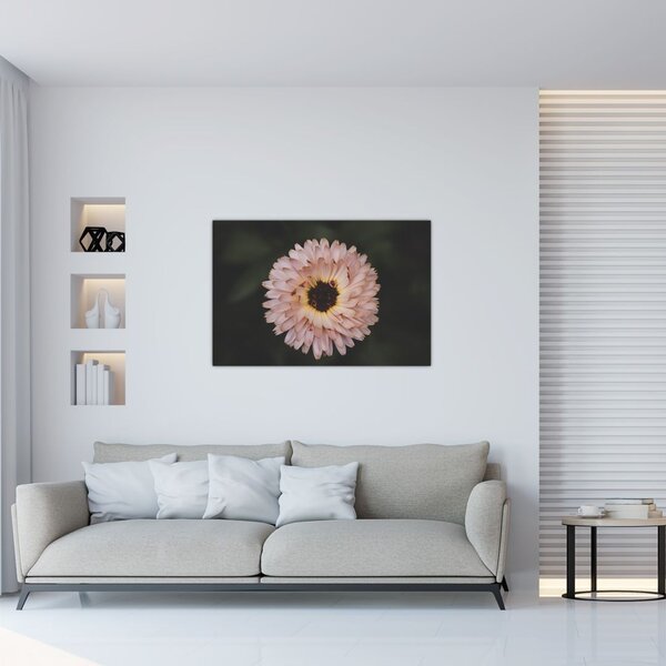 Tablou cu floare portocalie (90x60 cm)