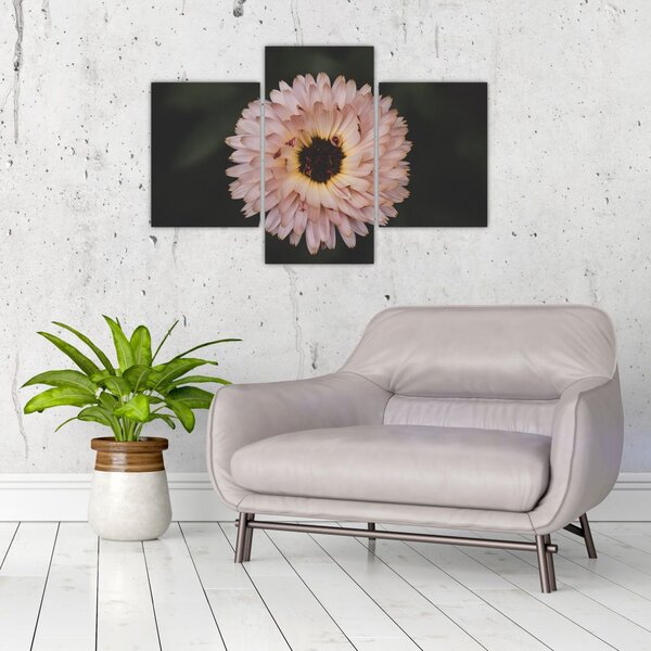 Tablou cu floare portocalie (90x60 cm)