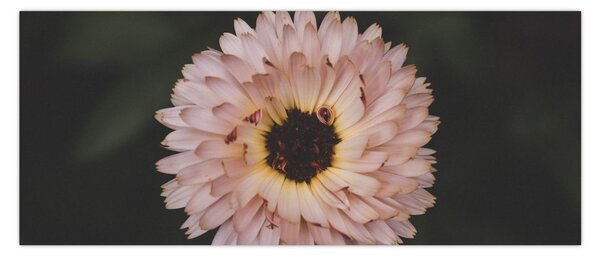 Tablou cu floare portocalie (120x50 cm)