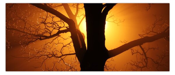 Tablou cu copac în apus de soare (120x50 cm)