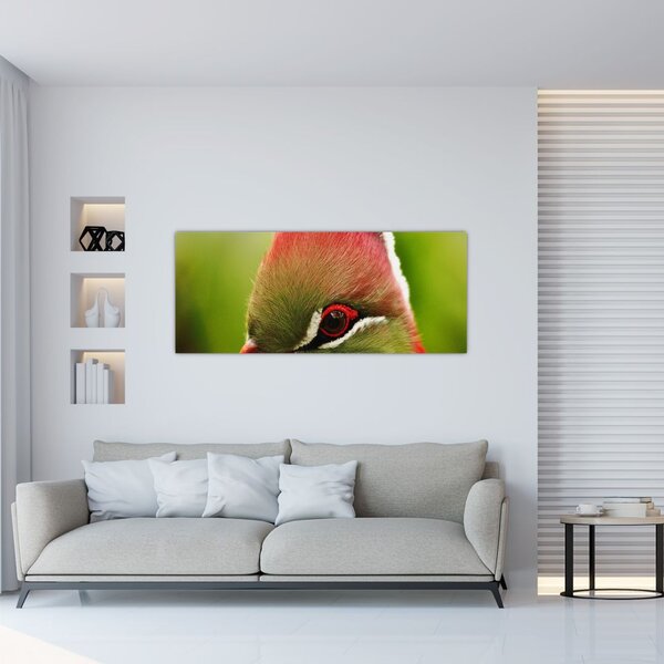 Tablou cu pasărea colorată (120x50 cm)