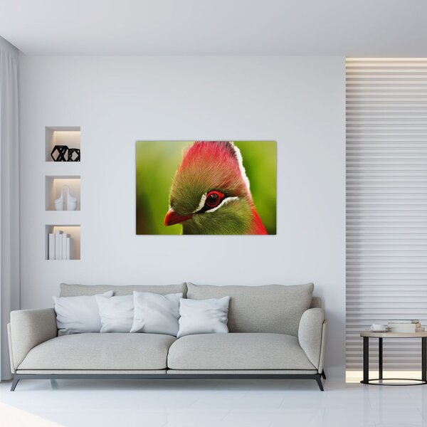 Tablou cu pasărea colorată (90x60 cm)
