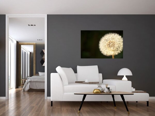 Tablou cu păpădie gri (90x60 cm)