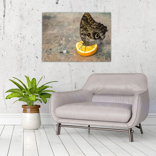 Tablou cu fluturi (70x50 cm)