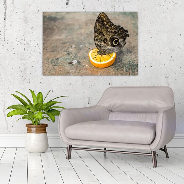 Tablou cu fluturi (90x60 cm)