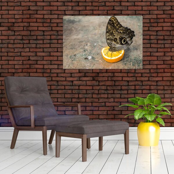 Tablou cu fluturi (90x60 cm)