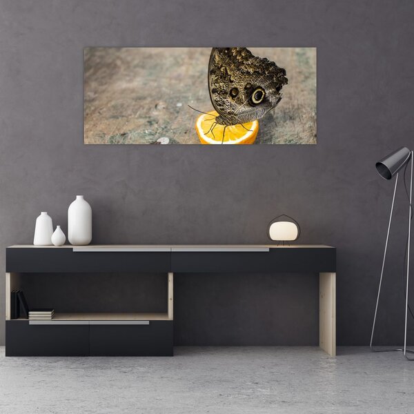 Tablou cu fluturi (120x50 cm)
