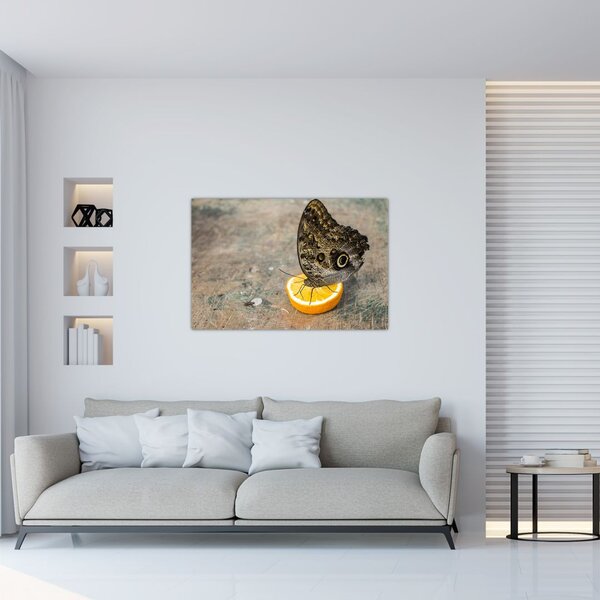 Tablou cu fluturi (90x60 cm)