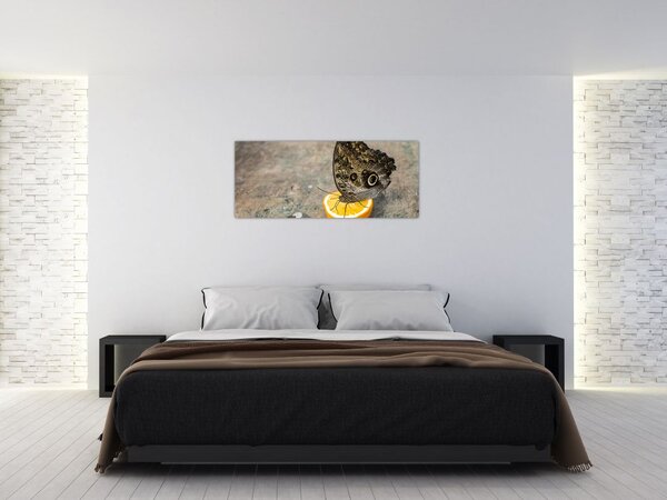 Tablou cu fluturi (120x50 cm)