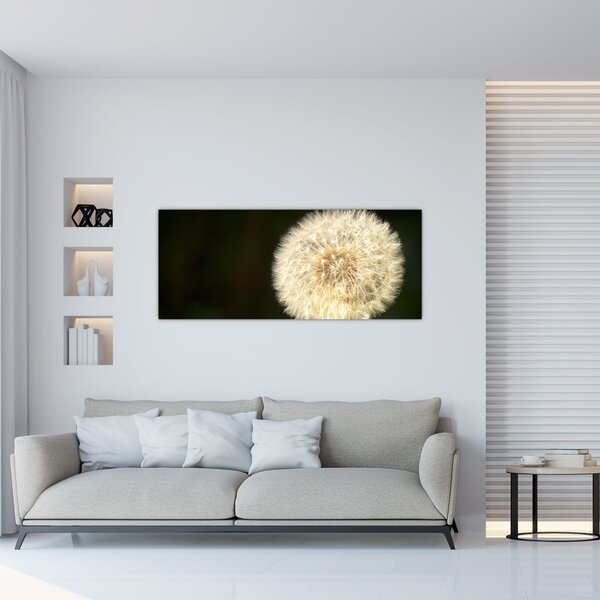 Tablou cu păpădie gri (120x50 cm)