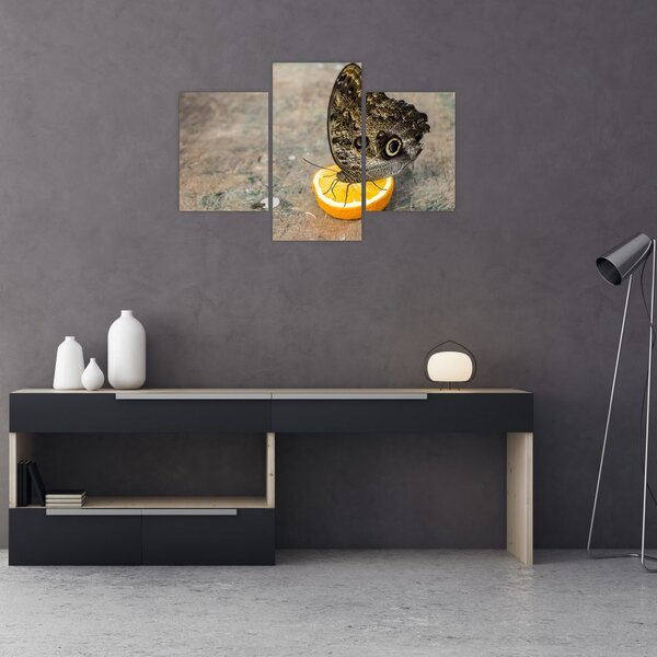 Tablou cu fluturi (90x60 cm)