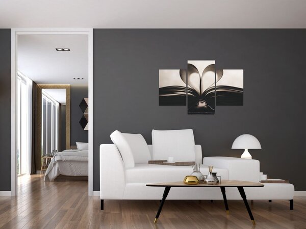Tablou cu carte (90x60 cm)