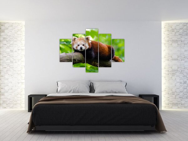 Tablou cu panda roșie (150x105 cm)