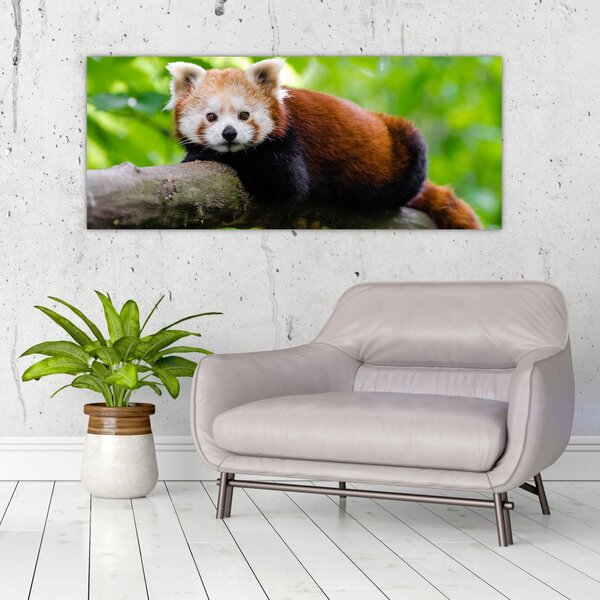 Tablou cu panda roșie (120x50 cm)