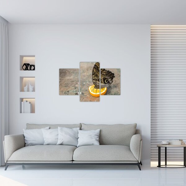 Tablou cu fluturi (90x60 cm)