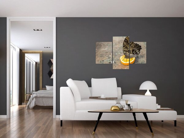 Tablou cu fluturi (90x60 cm)