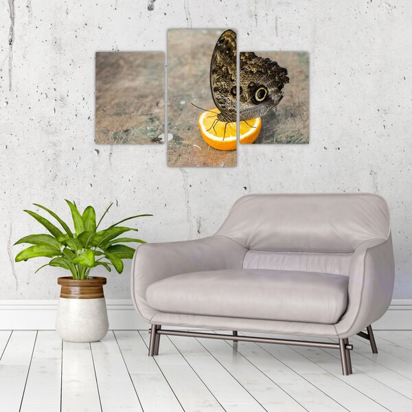 Tablou cu fluturi (90x60 cm)