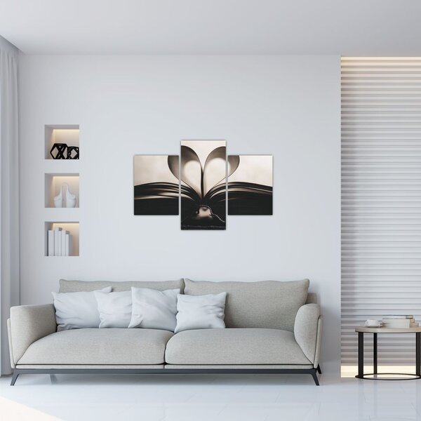 Tablou cu carte (90x60 cm)