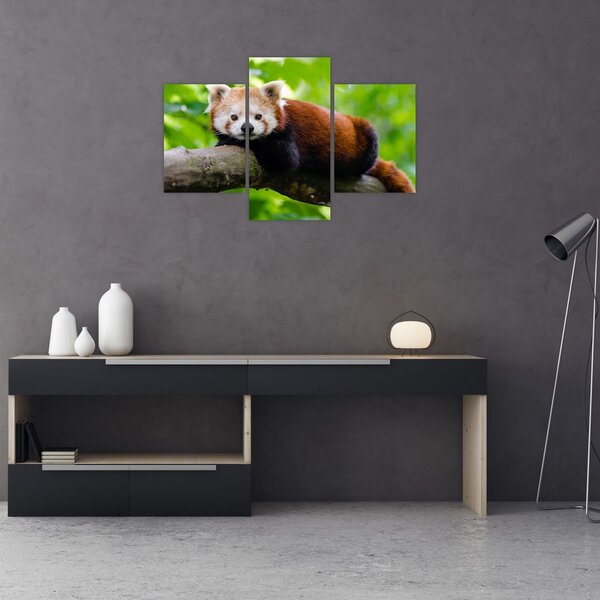 Tablou cu panda roșie (90x60 cm)