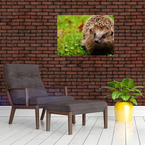 Tablou cu arici (70x50 cm)