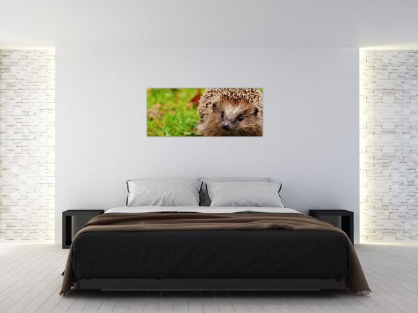 Tablou cu arici (120x50 cm)