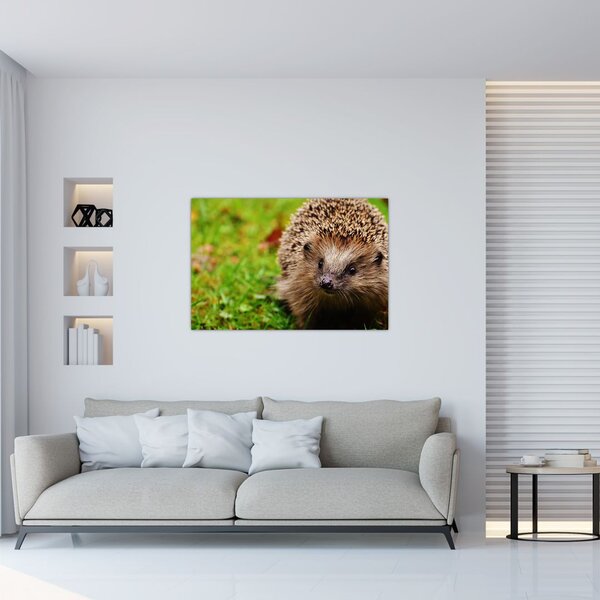 Tablou cu arici (90x60 cm)