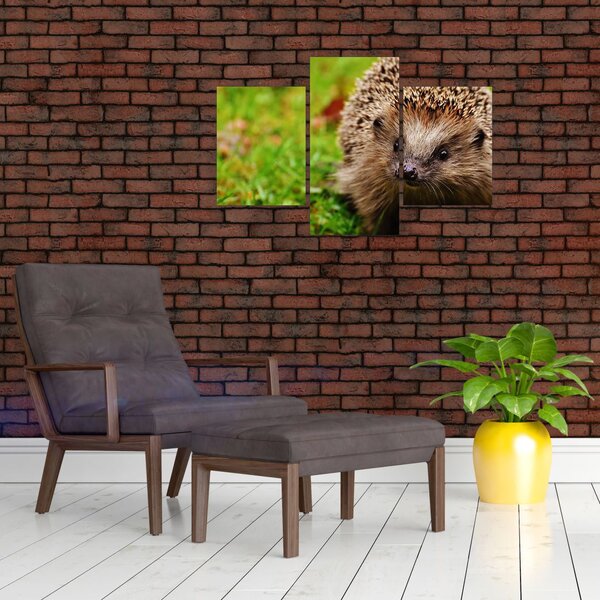 Tablou cu arici (90x60 cm)