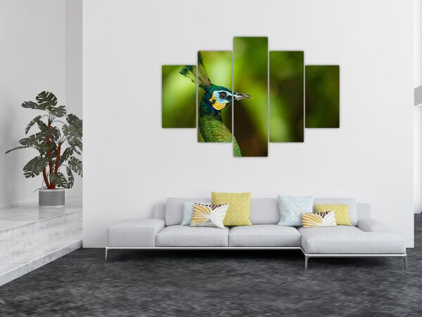 Tablou cu păun (150x105 cm)