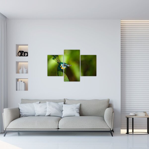 Tablou cu păun (90x60 cm)
