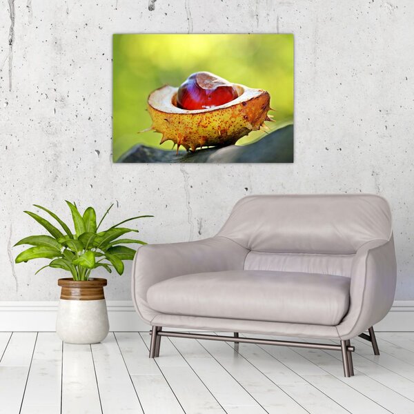 Tablou cu castani (70x50 cm)