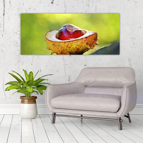 Tablou cu castani (120x50 cm)