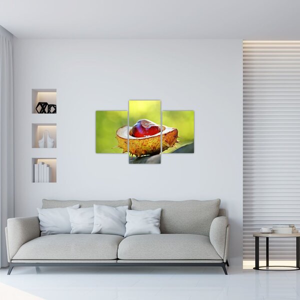 Tablou cu castani (90x60 cm)