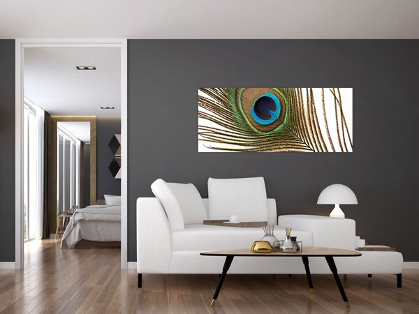 Tablou cu pene de păun (120x50 cm)