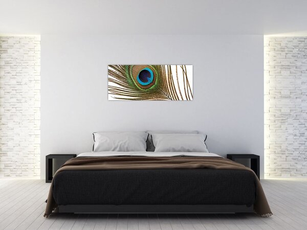Tablou cu pene de păun (120x50 cm)
